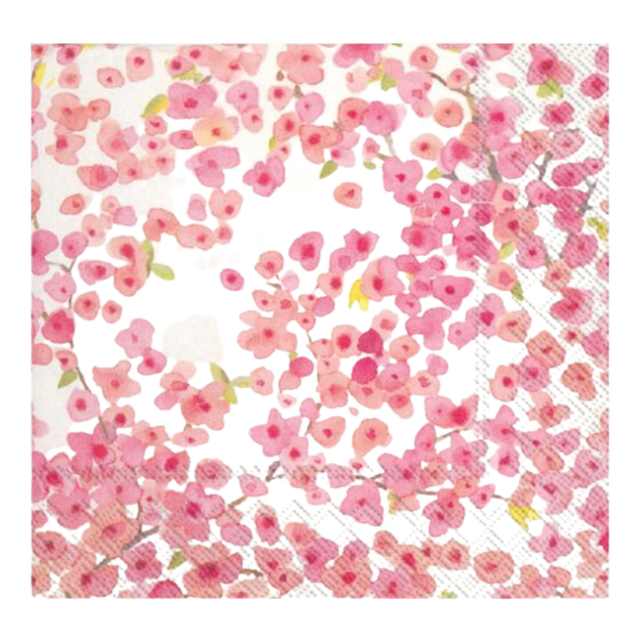 Official Cherry Blossom | The Old Town Shop